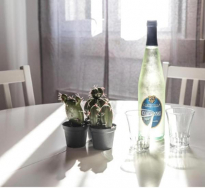 SALAMON GUEST HOUSE